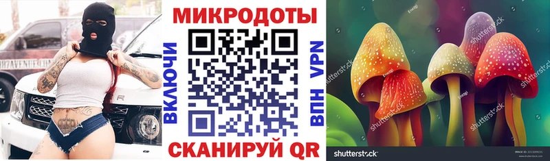 Псилоцибиновые грибы Cubensis  хочу   Ужур 